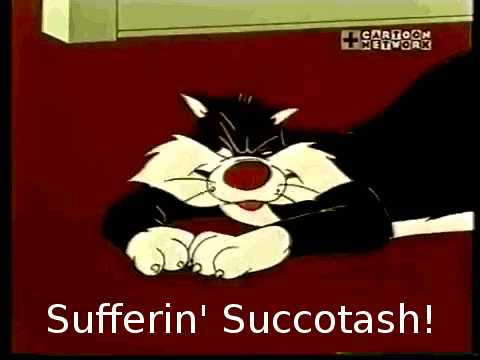 Image result for sylvester sufferin succotash
